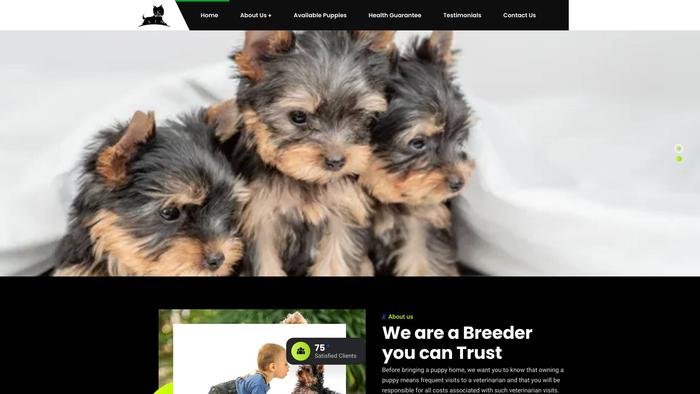 Yorkshirepuppies24.com - Yorkshire Terrier Puppy Scam Review