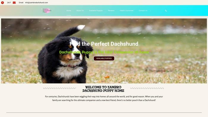 Zambrodachshund.com - Dachshund Puppy Scam Review