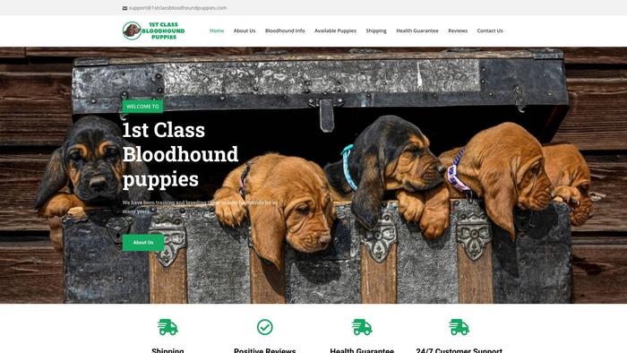 1stclassbloodhoundpuppies.com - Beagle Puppy Scam Review