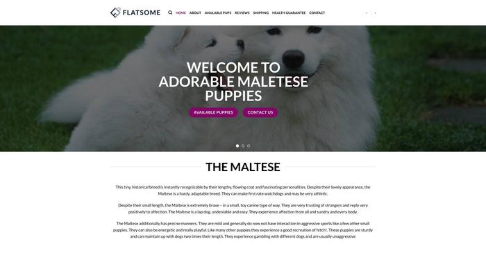 Adorablemaletesepuppies.com - Maltese Puppy Scam Review