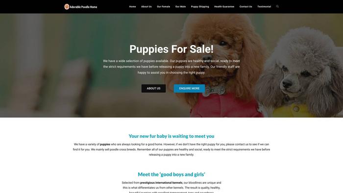 Adorablepoodlehome.com - Poodle Puppy Scam Review