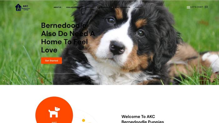 Akcbernedoodleforsale.com - Bernedoodle Puppy Scam Review