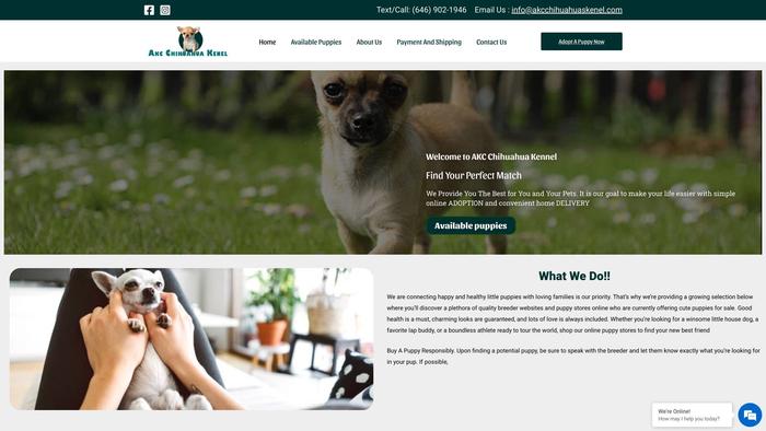 Akcchihuahuaskenel.com - Chihuahua Puppy Scam Review