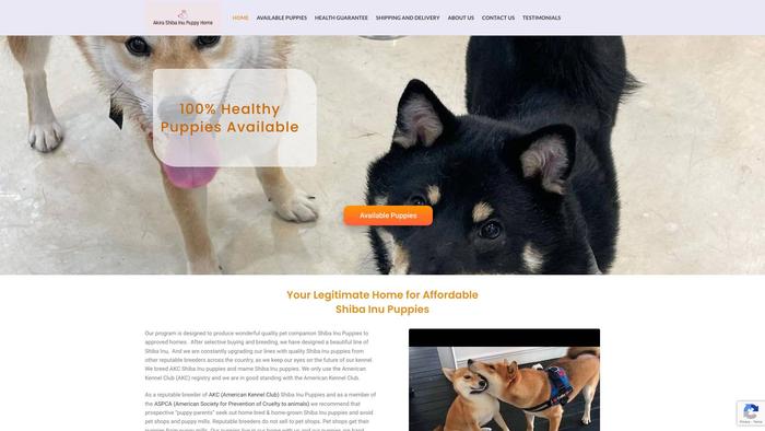 Akirashibainupuppy.com - Shibhainu Puppy Scam Review