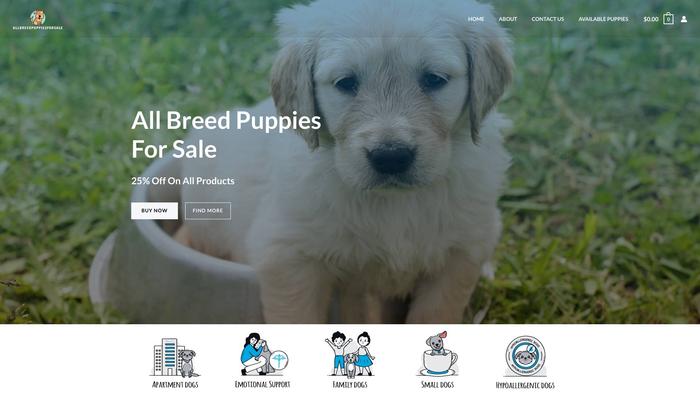 Allbreedpuppiesforsale.com - Cavapoo Puppy Scam Review