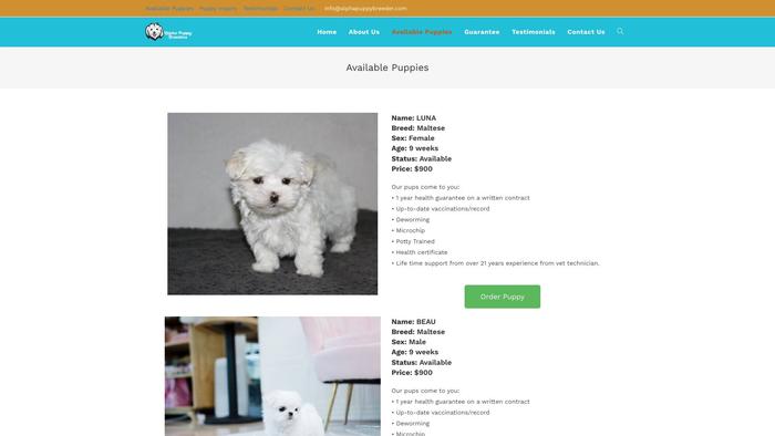 Alphapuppybreeder.com - French Bulldog Puppy Scam Review