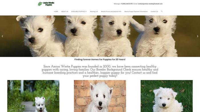 Amicawestiepuppies.com - Terrier Puppy Scam Review