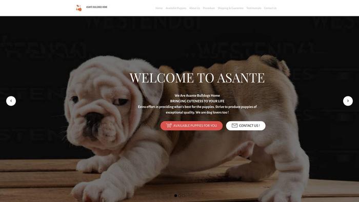 Asantebulldogshome.com - Bulldog Puppy Scam Review