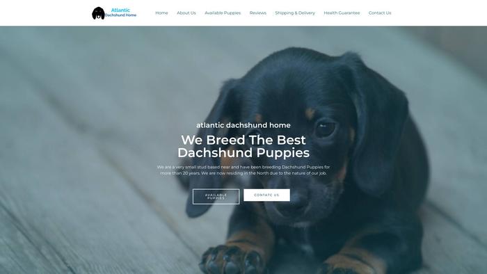 Atlanticdaschundhome.com - Dachshund Puppy Scam Review