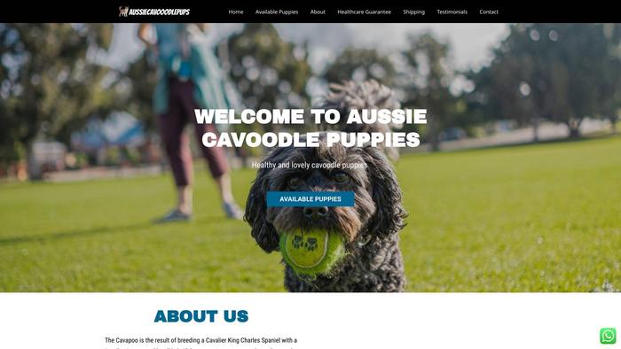 Aussiecavooodlepups.org - Australian Shepherd Puppy Scam Review