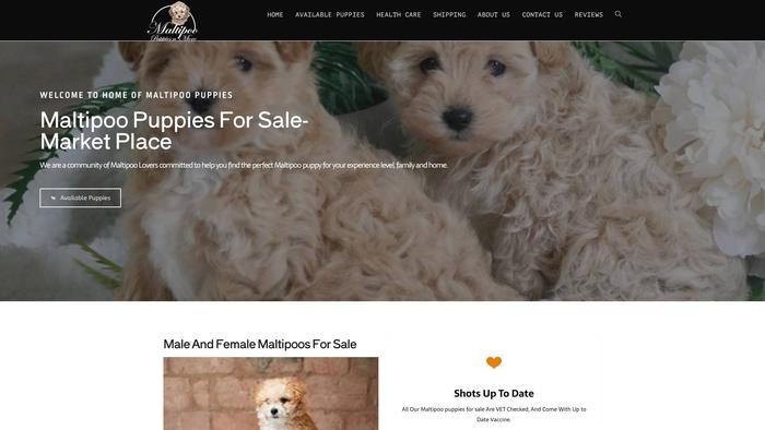 Beautifulmaltipoohome.com - Maltipoo Puppy Scam Review