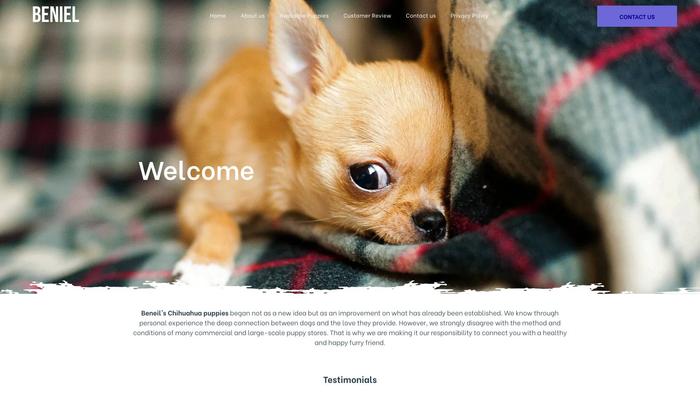 Beneilschihuahuapups.com - Chihuahua Puppy Scam Review