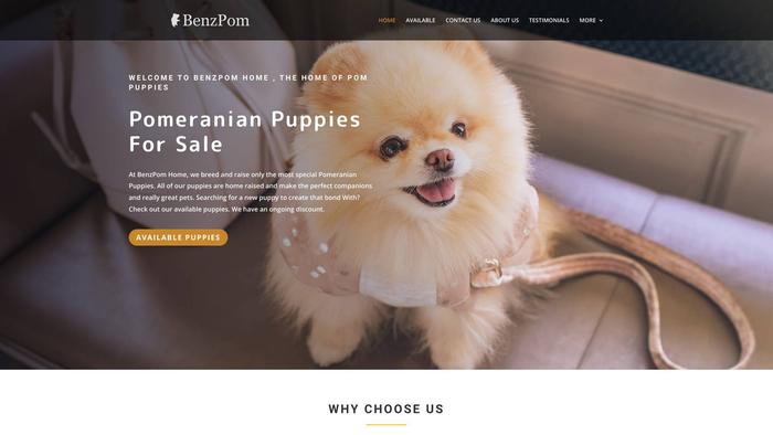 Benzpomhome.com - Pomeranian Puppy Scam Review