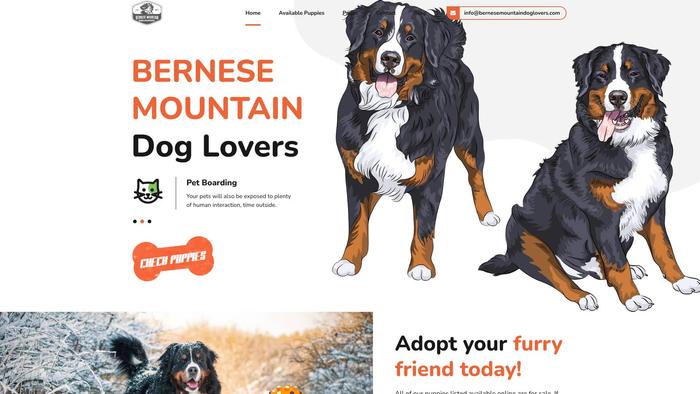 Bernesemountaindoglovers.com - Bernese Mountain Dog Puppy Scam Review