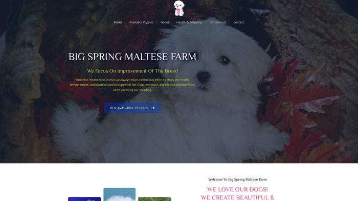 Bigspringmaltesefarm.com - Maltese Puppy Scam Review