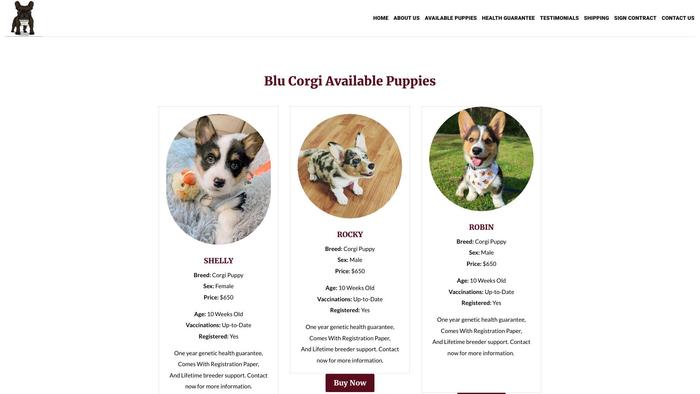 Blucorgihomes.com - Corgi Puppy Scam Review