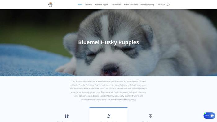 Bluemelhuskypuppies.com - Husky Puppy Scam Review