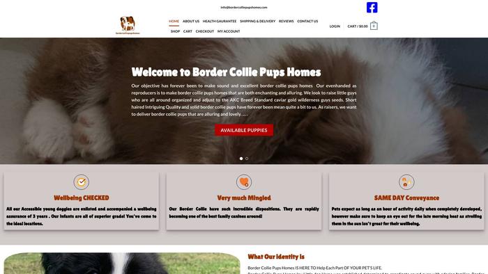 Bordercolliepupshomes.com - Bordercollie Puppy Scam Review