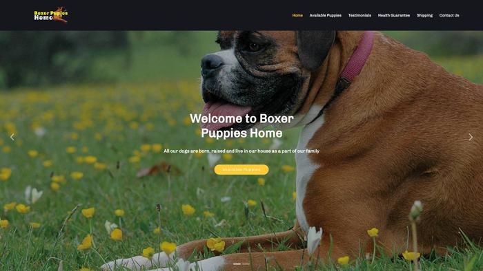 Boxerpupieshome.com - Boxer Puppy Scam Review