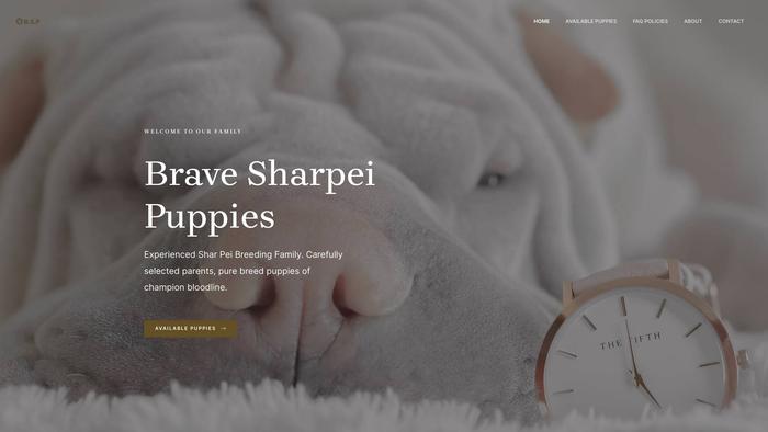 Bravesharpeipuppies.com - Sharpei Puppy Scam Review