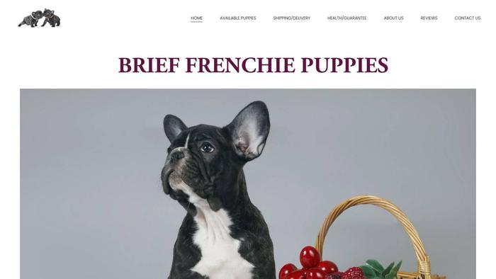 Brieffrenchbulldogpuppies.com - French Bulldog Puppy Scam Review