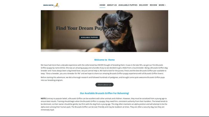 Brusselsgriffonpuppies.store - Dachshund Puppy Scam Review