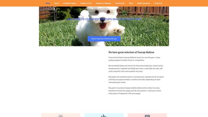 Candorteacupmaltese.com - Maltese Puppy Scam Review