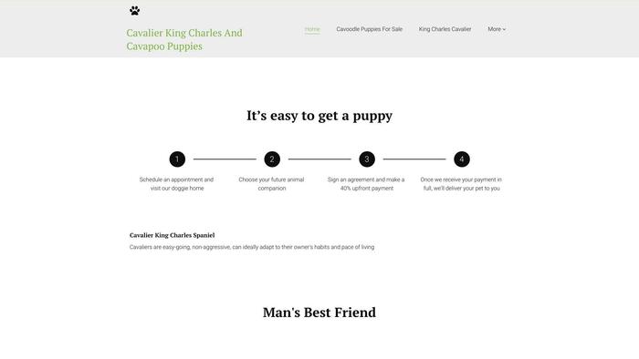 Cavalierandcavapoo-au.com - Cavalier King Charles Spaniel Puppy Scam Review