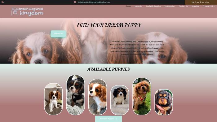 Cavalierkingcharkeskingdom.com - Cavalier King Charles Spaniel Puppy Scam Review