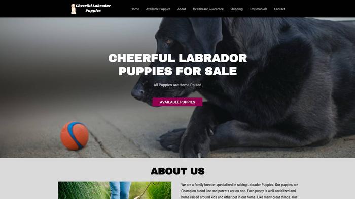 Cheerfullabradorpuppies.com - Labrador Puppy Scam Review