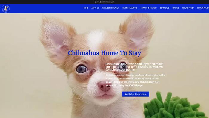 Chichihometostay.com - Chihuahua Puppy Scam Review