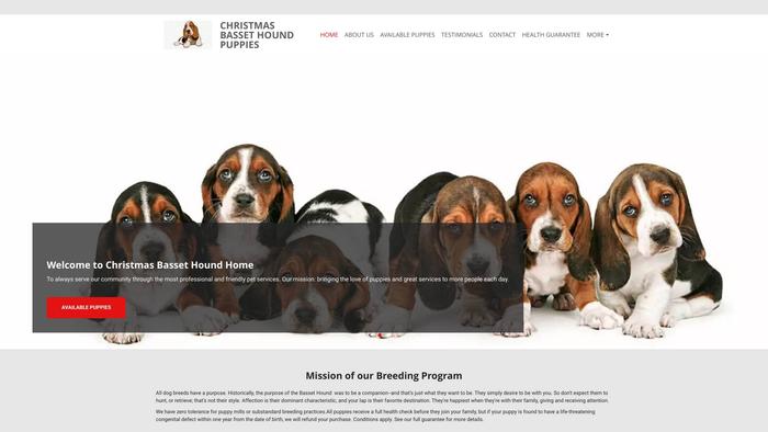 Christmasbassethoundhomes.com - Bassethound Puppy Scam Review