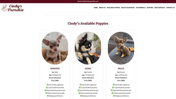 Cindysparadise.com - Chihuahua Puppy Scam Review