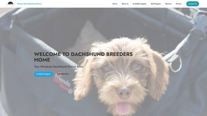 Classicminidachshundshome.com - Dachshund Puppy Scam Review