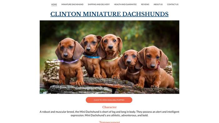 Clintondachshundhome.com - Dachshund Puppy Scam Review