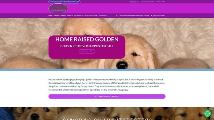 Clintongoldenretrievers.com - Golden Retriever Puppy Scam Review