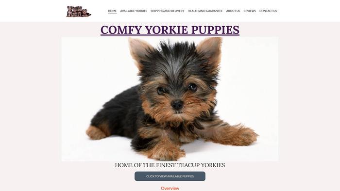 Comfyyorkies.com - Yorkshire Terrier Puppy Scam Review