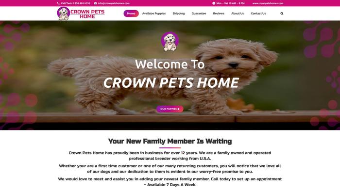 Crownpetshomes.com - Cavapoo Puppy Scam Review