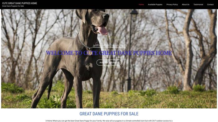 Cutegreatdanepuppies.com - Great Dane Puppy Scam Review