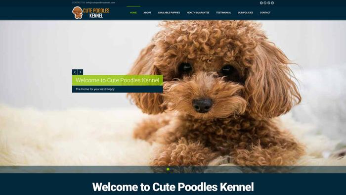 Cutepoodleskennel.com - Poodle Puppy Scam Review