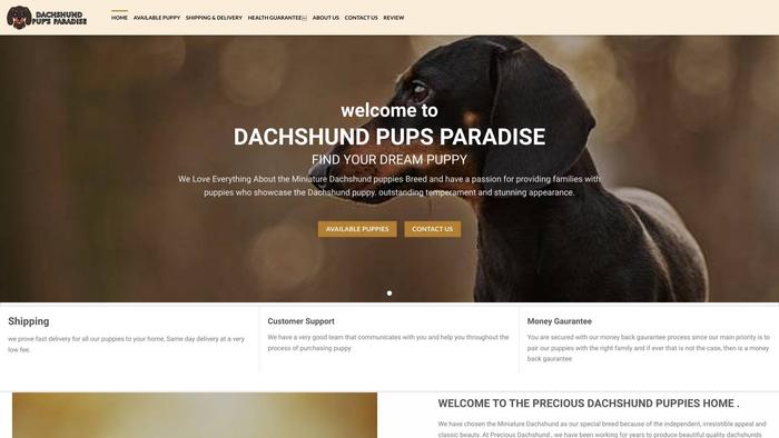 Dachshundpupsparadise.com - Dachshund Puppy Scam Review