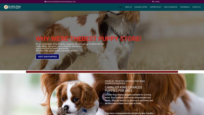 Daisycavalierkingcharlespuppies.com - Cavalier King Charles Spaniel Puppy Scam Review