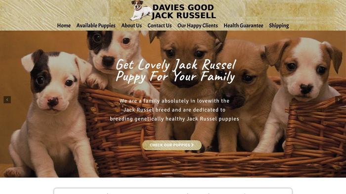 Daviesgoodjackrussell.com - Jack Russell Terrier Puppy Scam Review