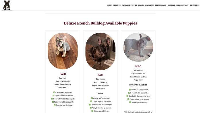 Deluxefrenchbulldogs.com - French Bulldog Puppy Scam Review