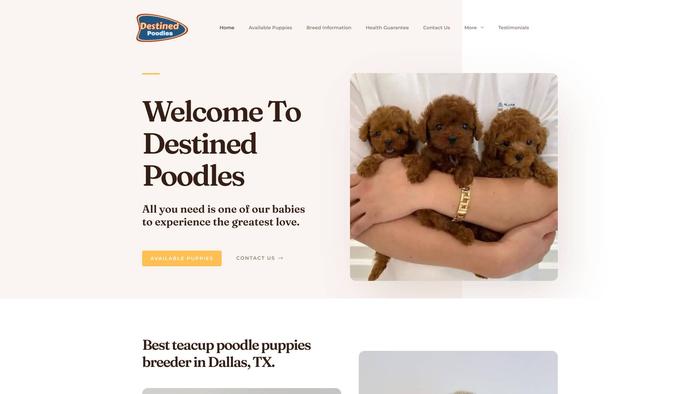 Destinedpoodles.com - Poodle Puppy Scam Review