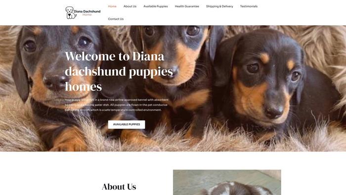 Dianadachshundhomes.com - Dachshund Puppy Scam Review