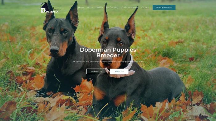 Dobermanpuppies.site - Doberman Pinscher Puppy Scam Review