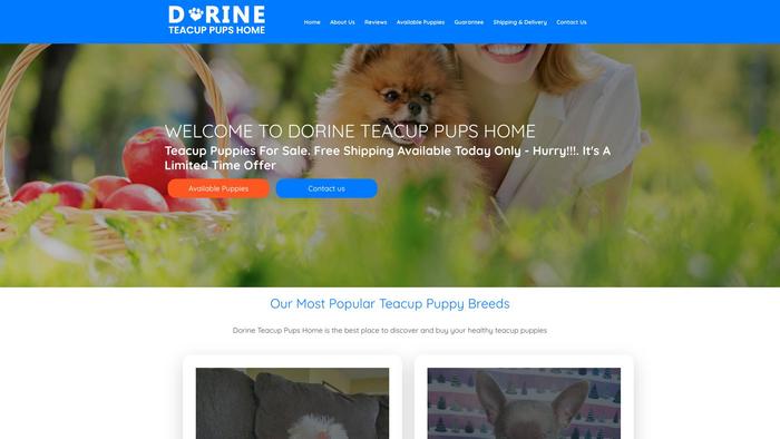 Dorineteacuppupshome.com - Yorkshire Terrier Puppy Scam Review