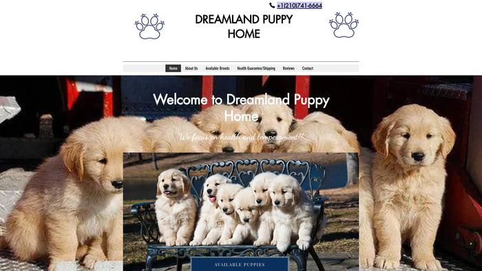 Dreamlandpuppyhome.com - Golden Retriever Puppy Scam Review