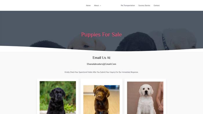 Ehanalabradors.com - Labrador Puppy Scam Review